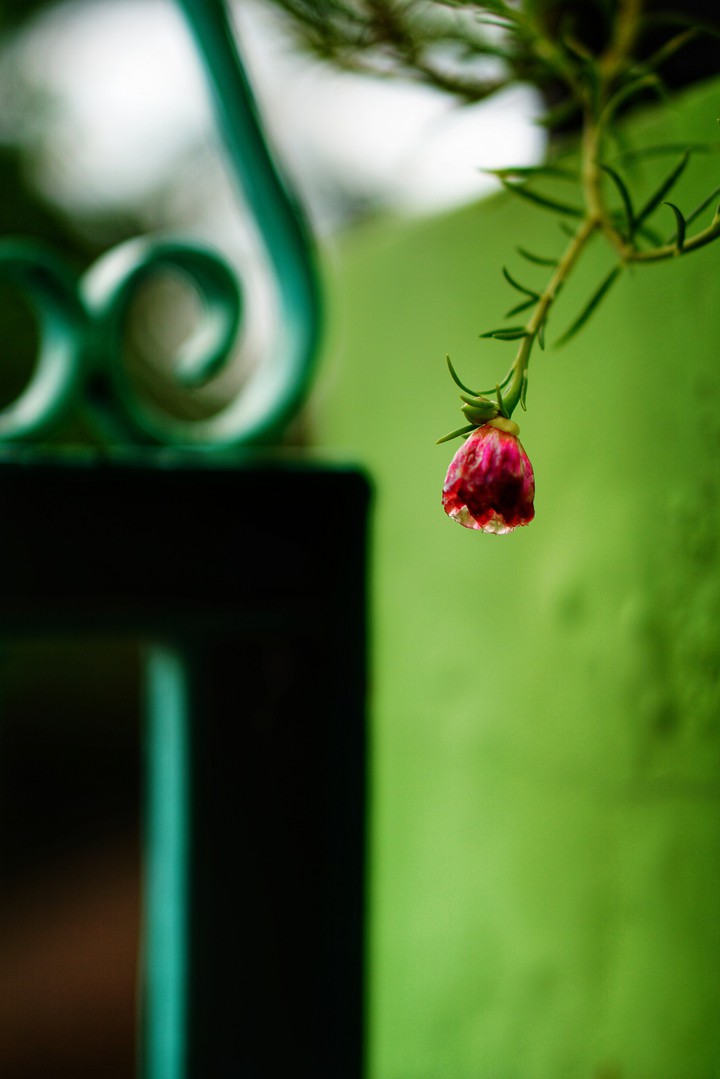 Bent flower