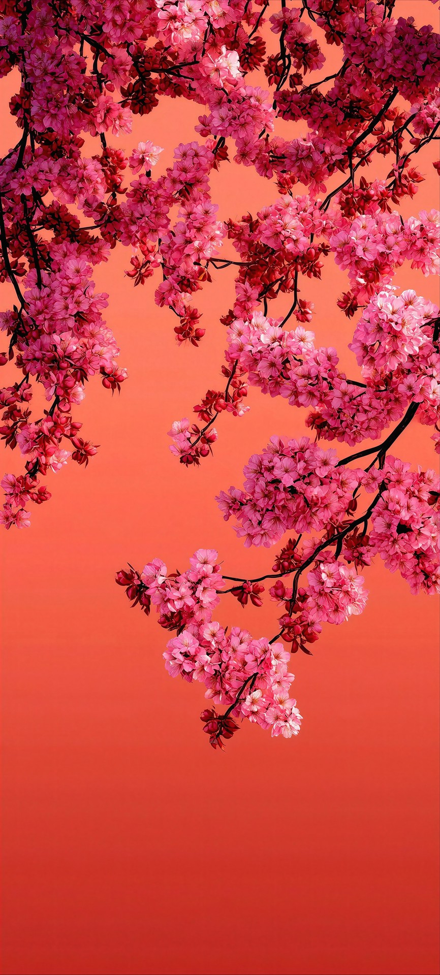 тапети happiness, prunus