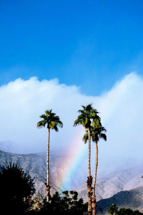 Rainbow