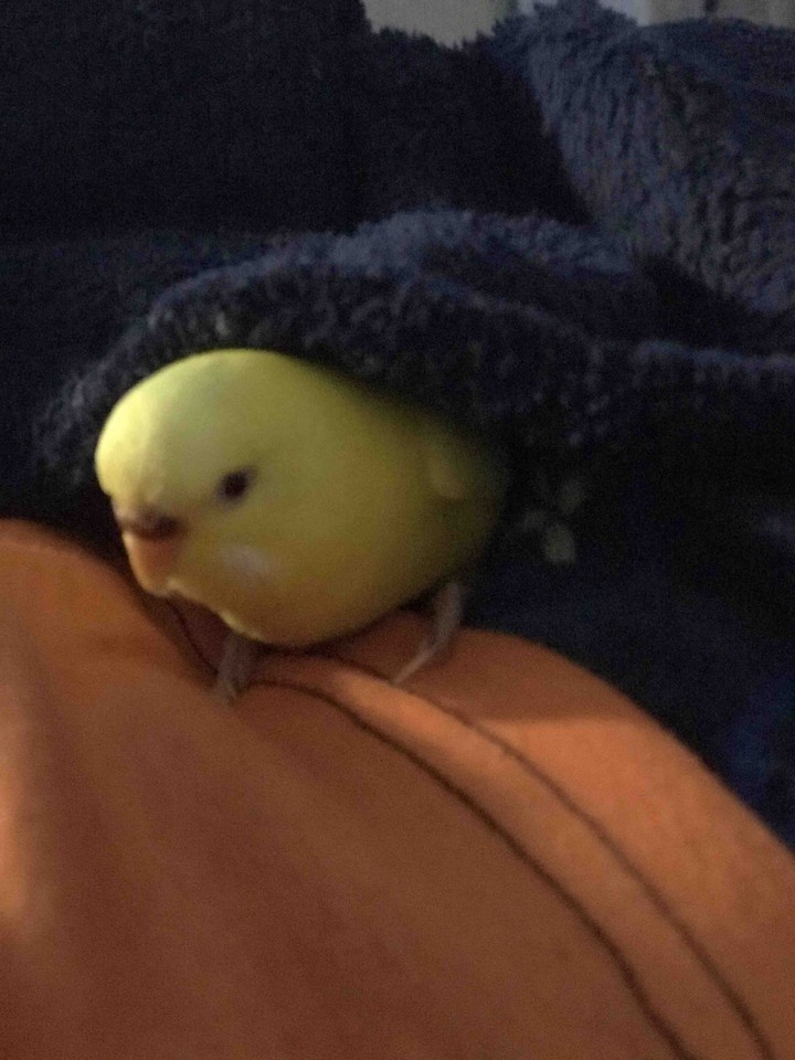 I’m sleeping