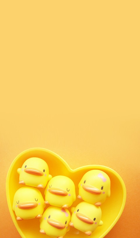 duck