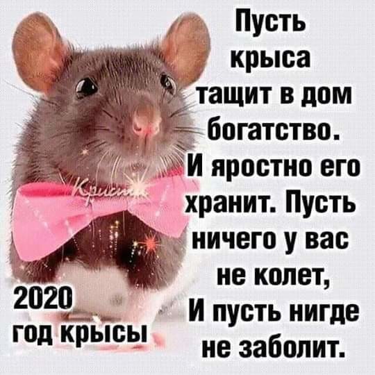 символ года!
