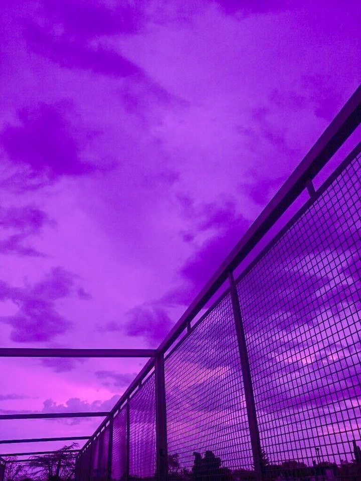 Purple♡