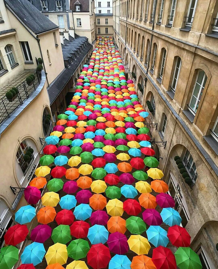 Umbrellas