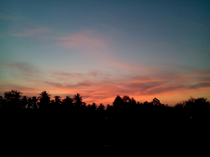 morning sun