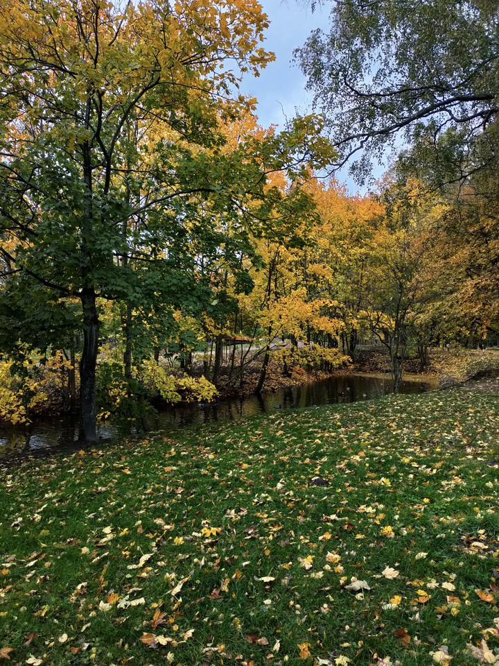 Autumn