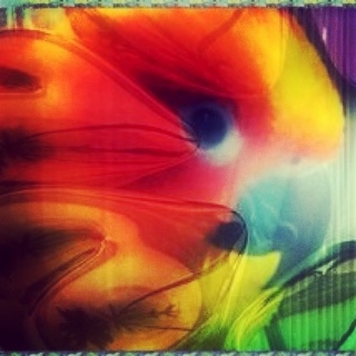 love