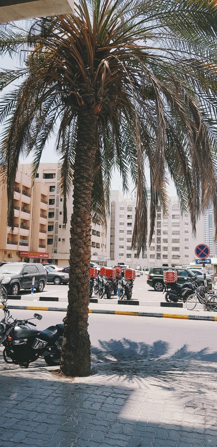 Sharjah United Arab Emirates