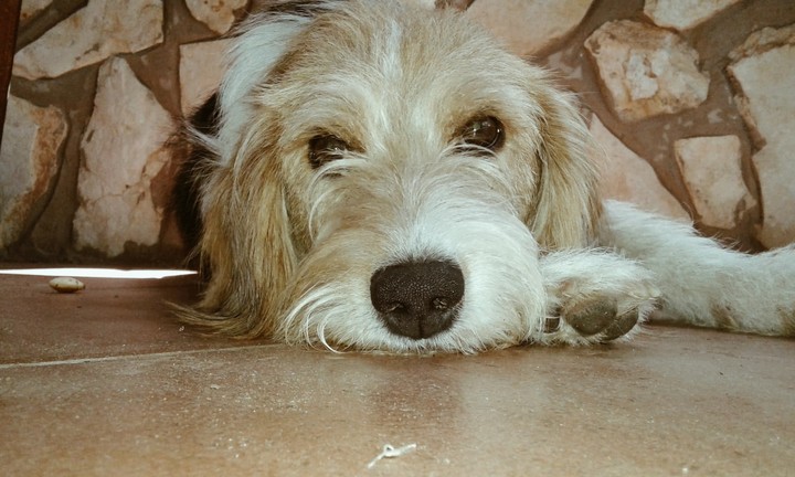 My love