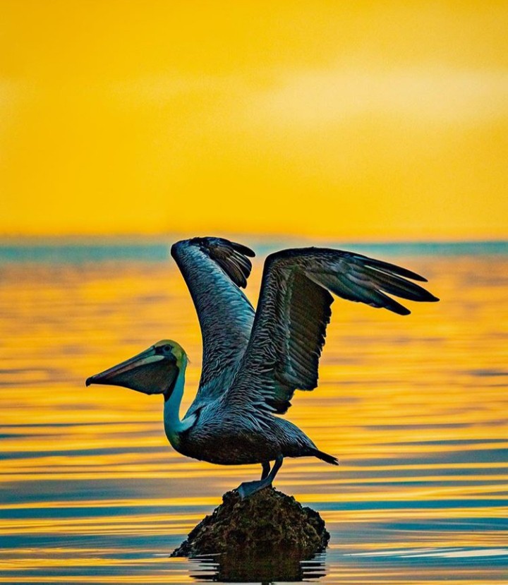 colombia