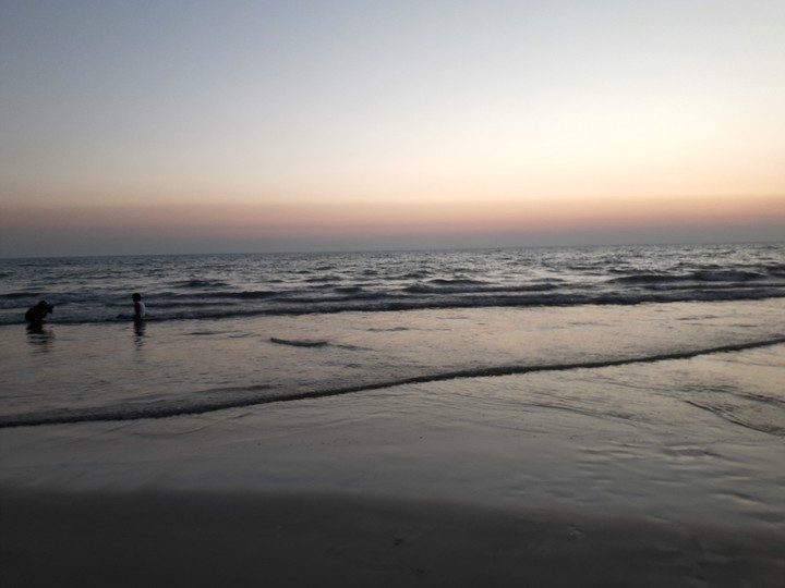 সমুদ্র শৈকত