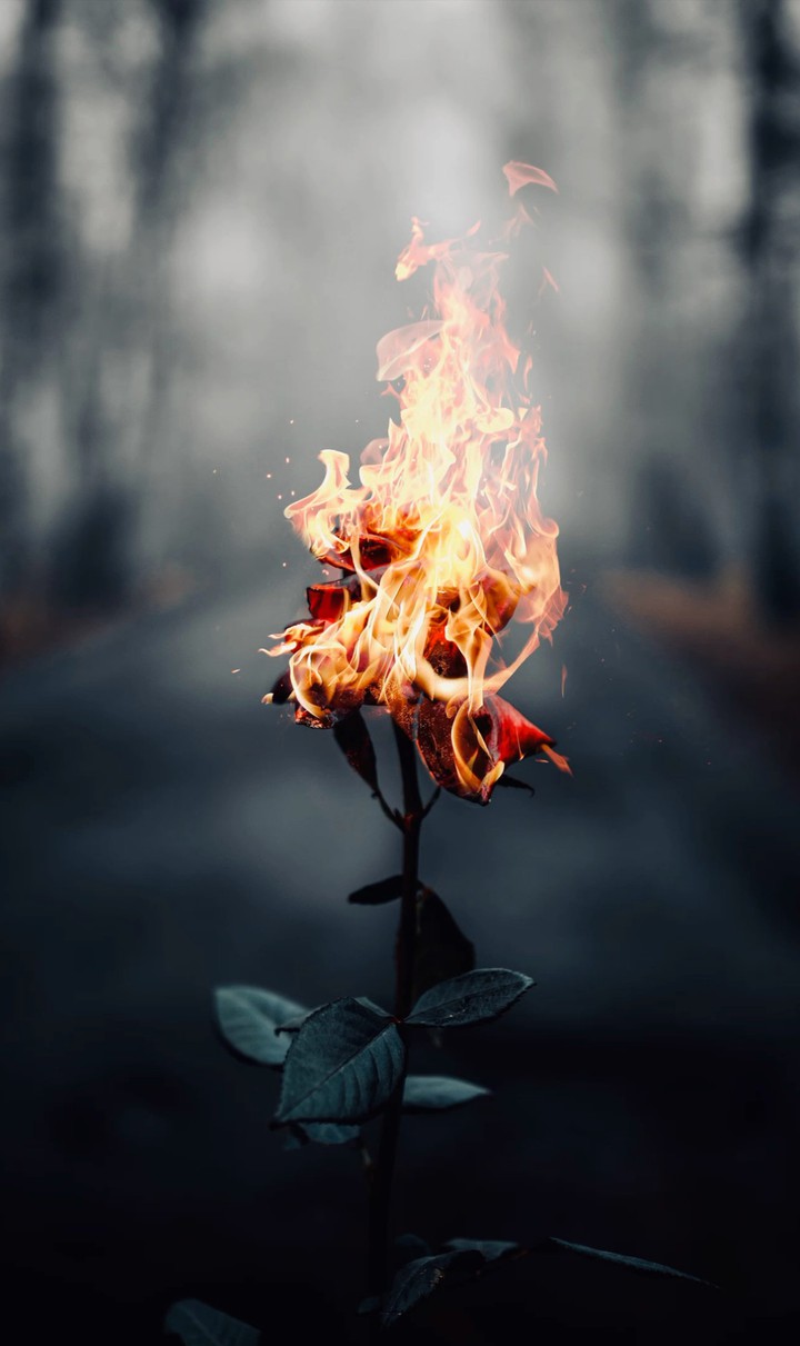 the broken fire heart