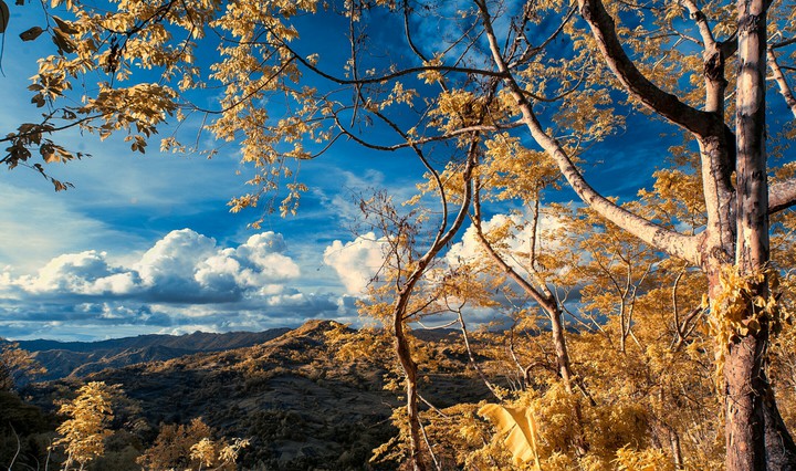 ✨ The Autumn Landscape ❤