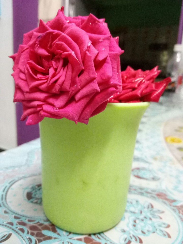 Roses