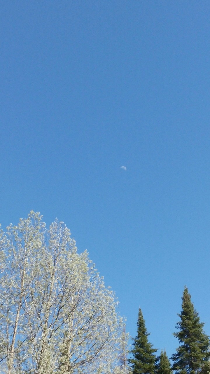 summer day moon