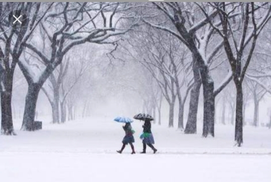 winter