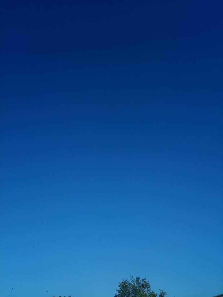 clear