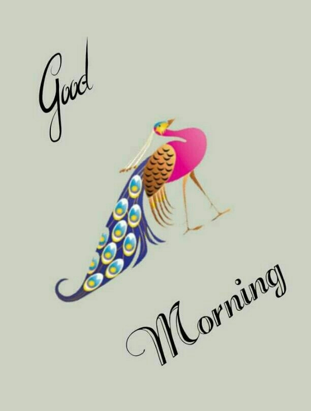 good morning
