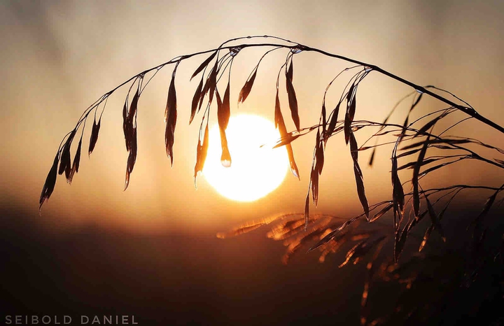Sonnenuntergang