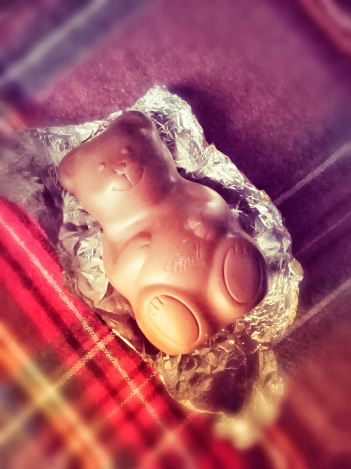 Chocolate Bear
