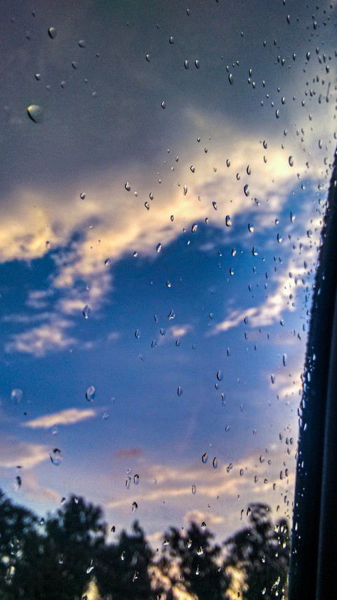 Rain