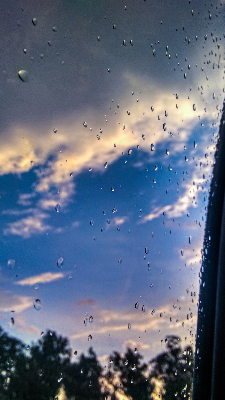 Rain