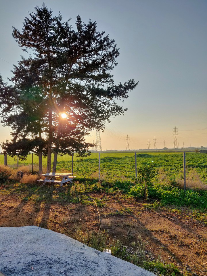 GreenCrops