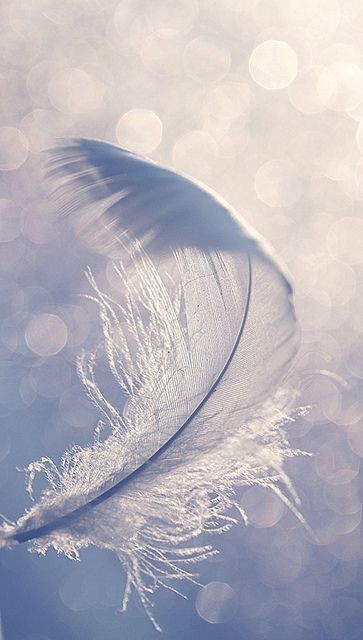 pluma