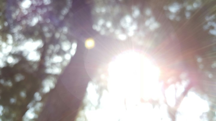 Blur tree