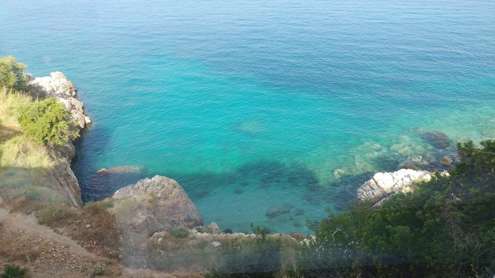 deep blue sea