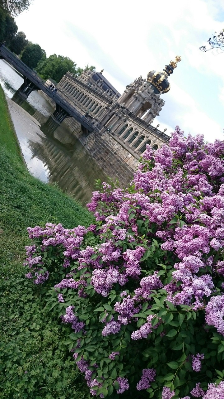 Dresden ❤