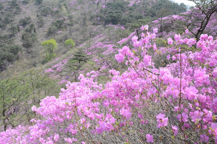 풍경이미지