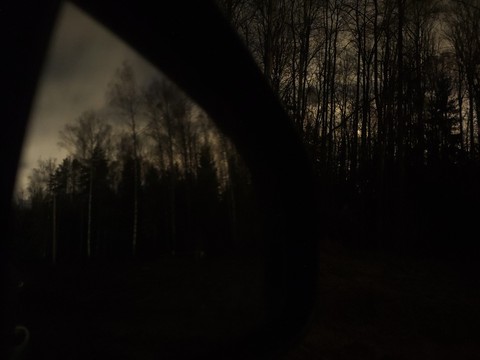 scary forest