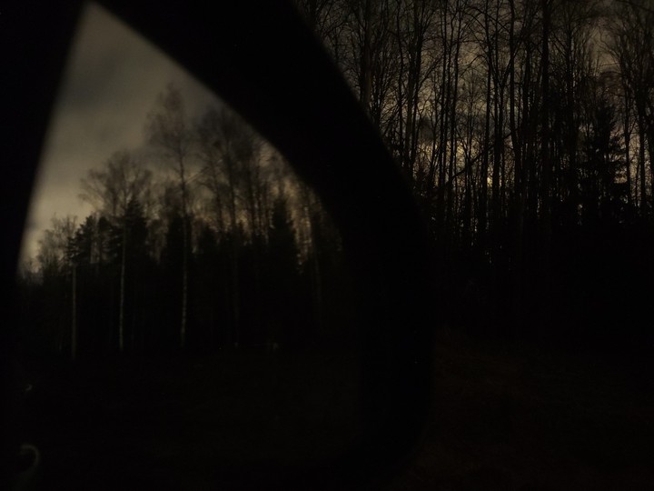 scary forest
