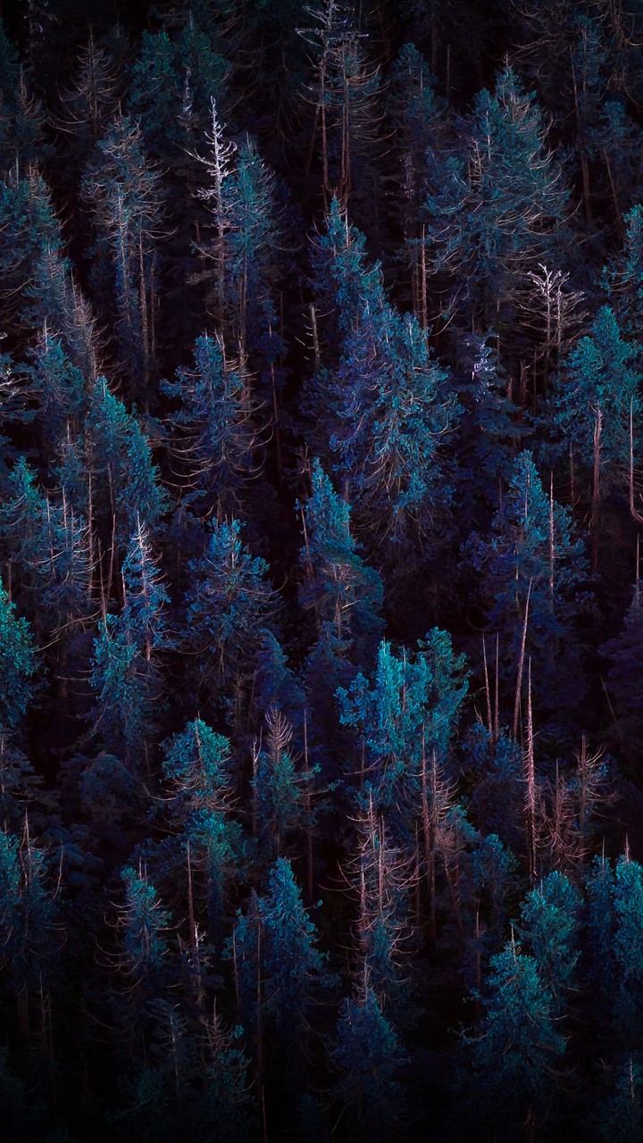 Blue Life