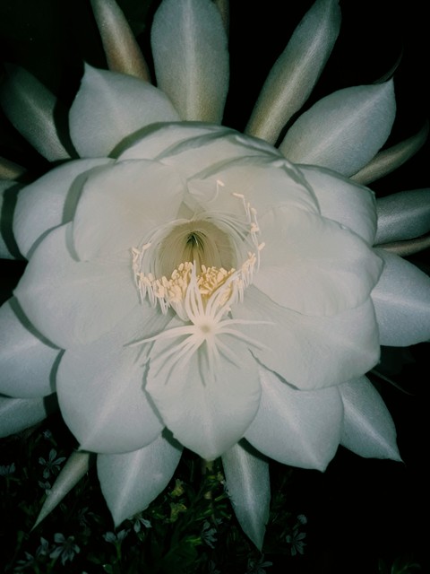 nature is a wonder