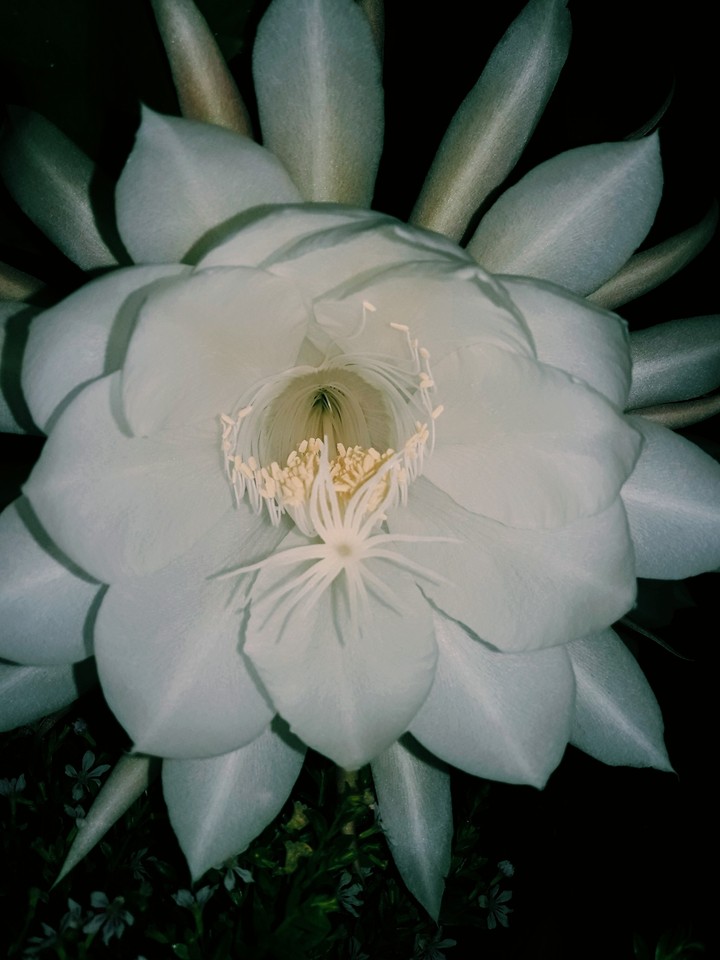 nature is a wonder