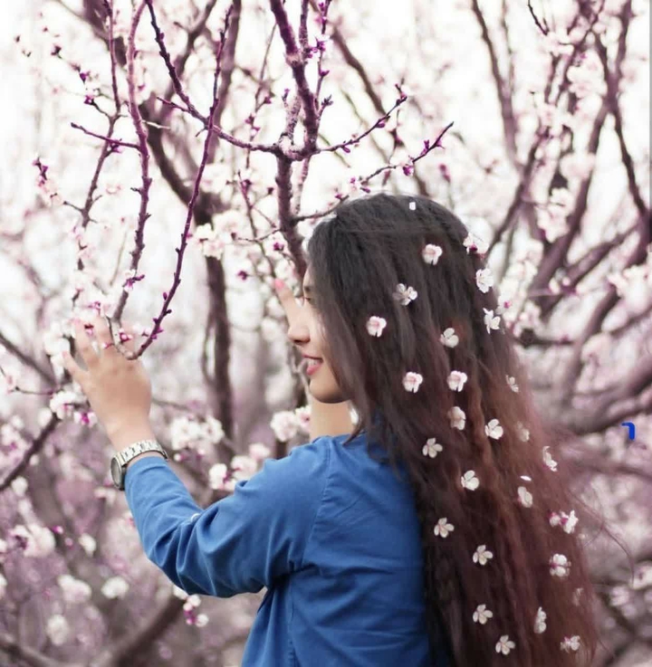 spring