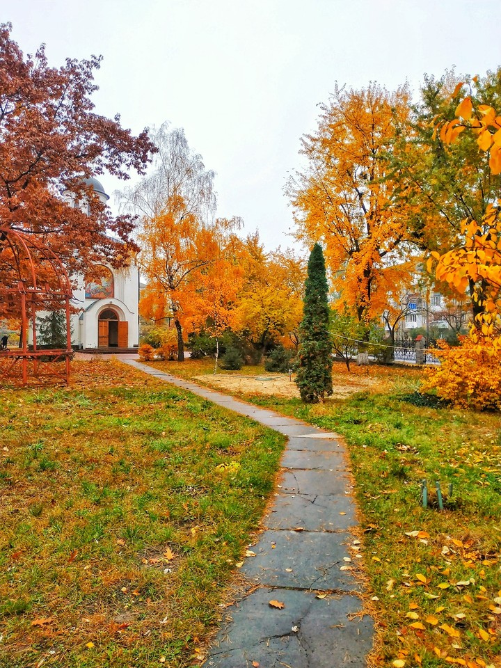 autumn