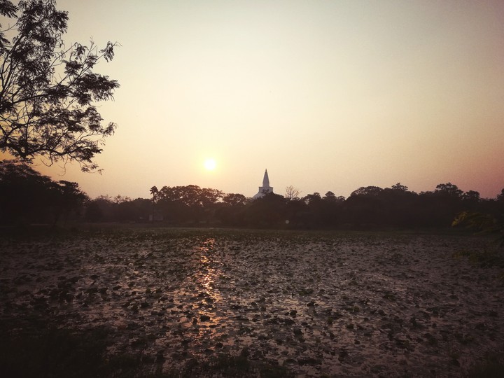 Ruwanweli Seya (Ruwanweli Stupa - රුවන්වැලි සෑය)