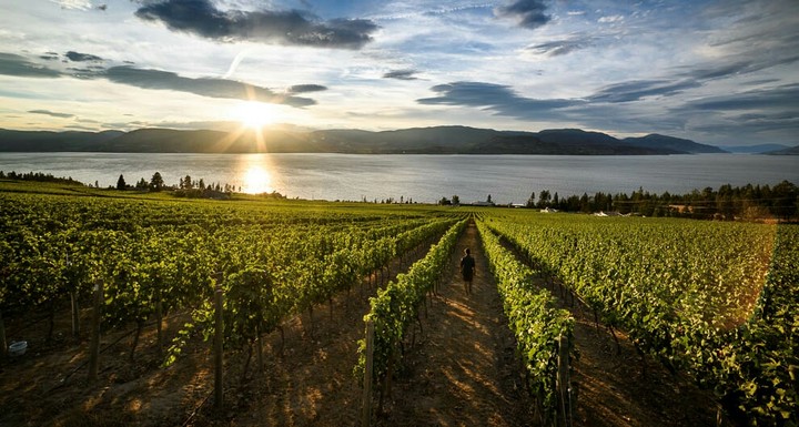 okanagan lake