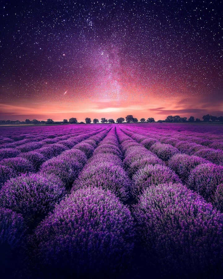 ,.....