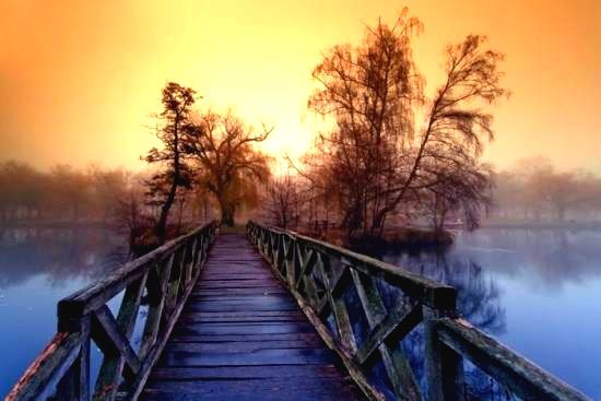 bridge