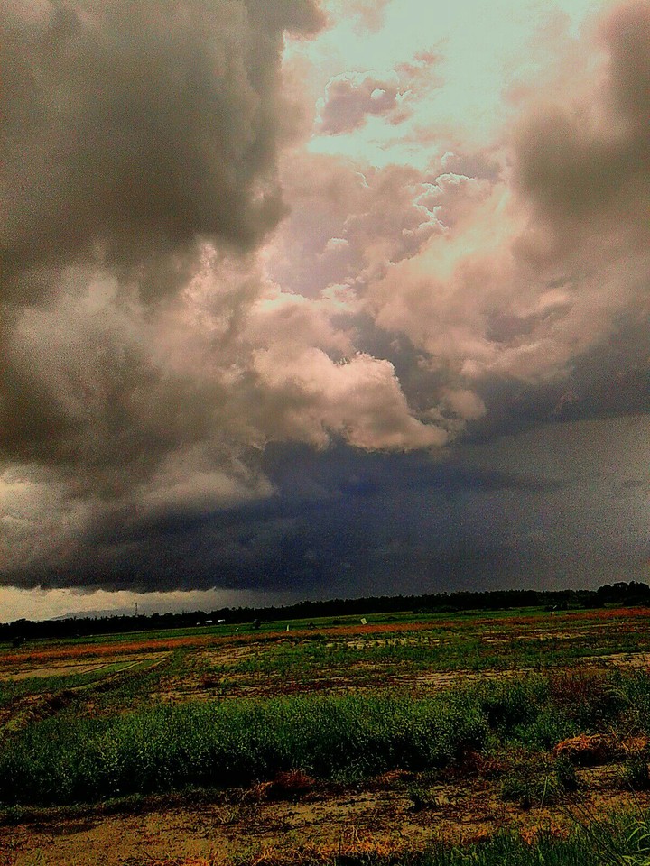 dark and light