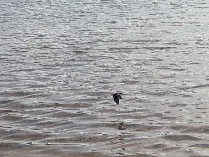 lago