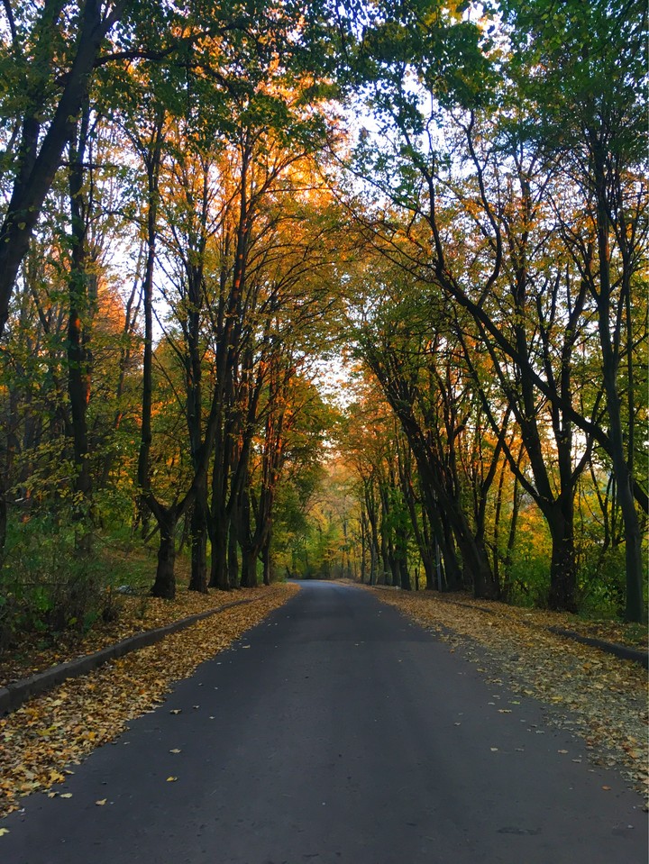 road