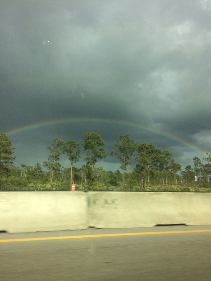 The Rainbow
