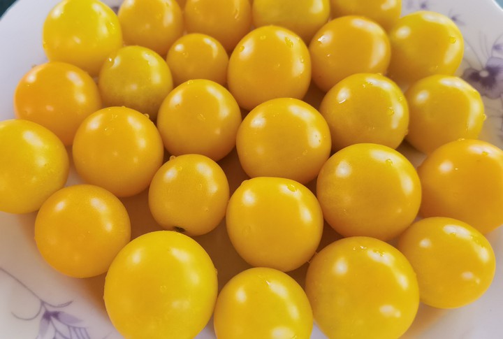 Cherry Tomatoes Yellow
