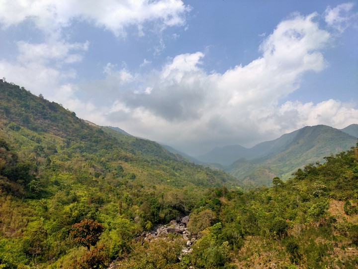 Nature