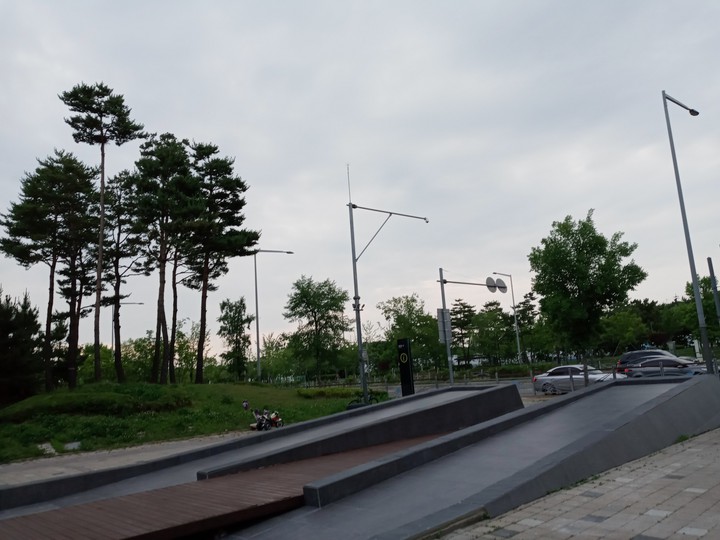 나무와 도로와 인도의 하늘